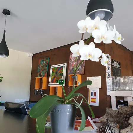 酒店 Restaurant L'espassole